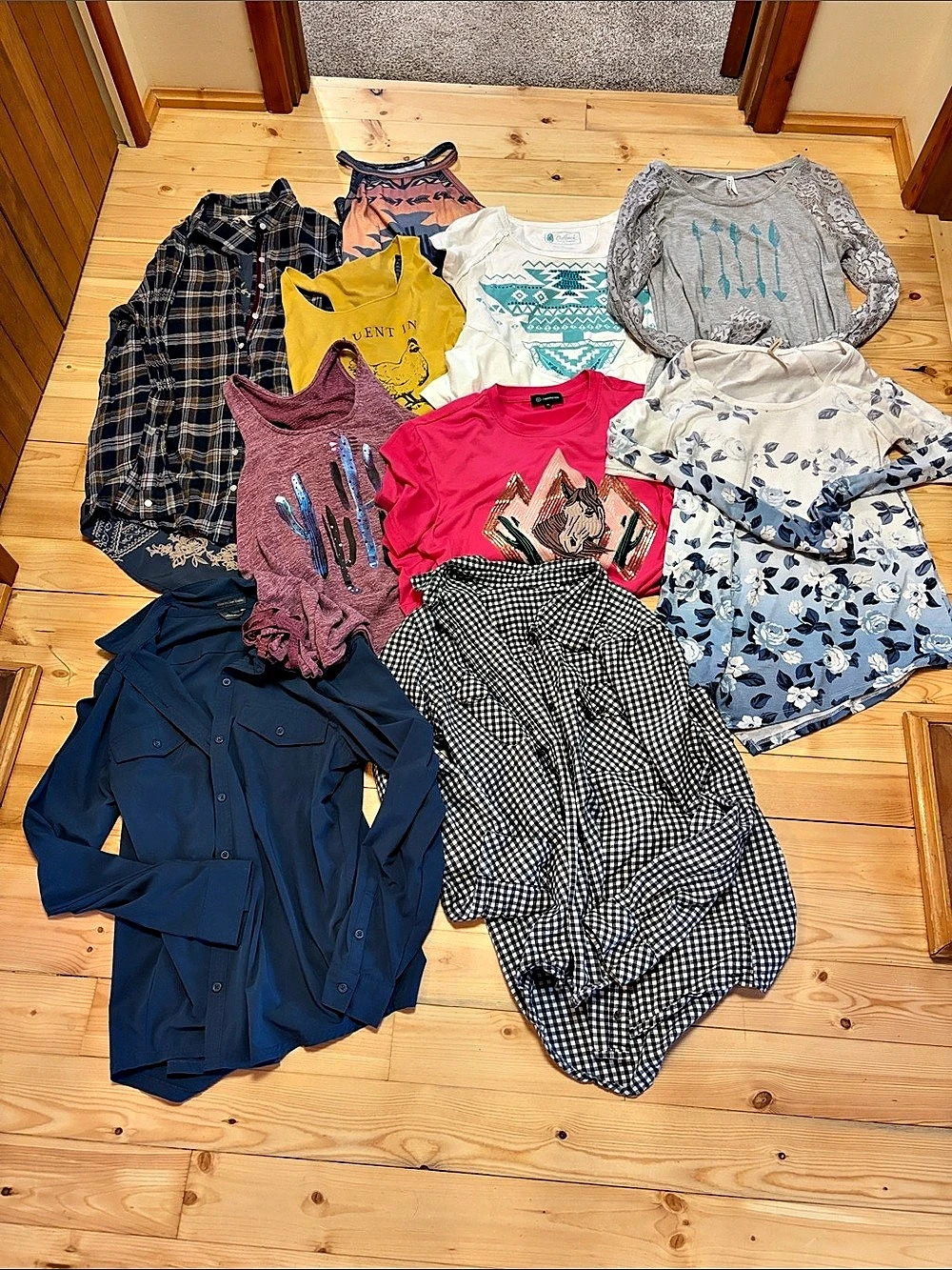 Western/ country top lot